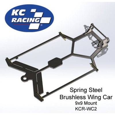 Spring Steel BRUSHLESS Wing Car Chassis